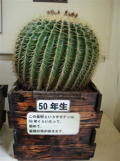 2_15
