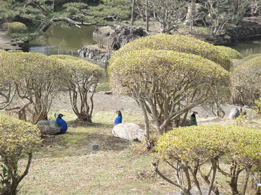 3_1