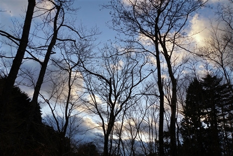 20190101_1