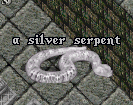 Poison_silverserpent